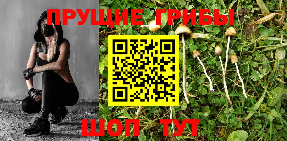 Галлюциногенные грибы Psilocybine cubensis  Вход с VPN  Галлюциногенные грибы прущие грибы  Кумертау 